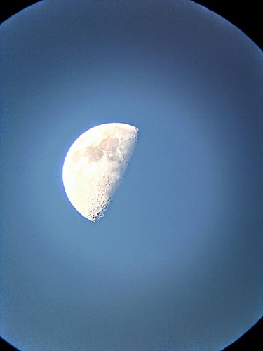 Philip Dick, Empty Author: Do Androids Dream of Electric Sheep? (2050, Houghton Mifflin Harcourt Publishing Company)